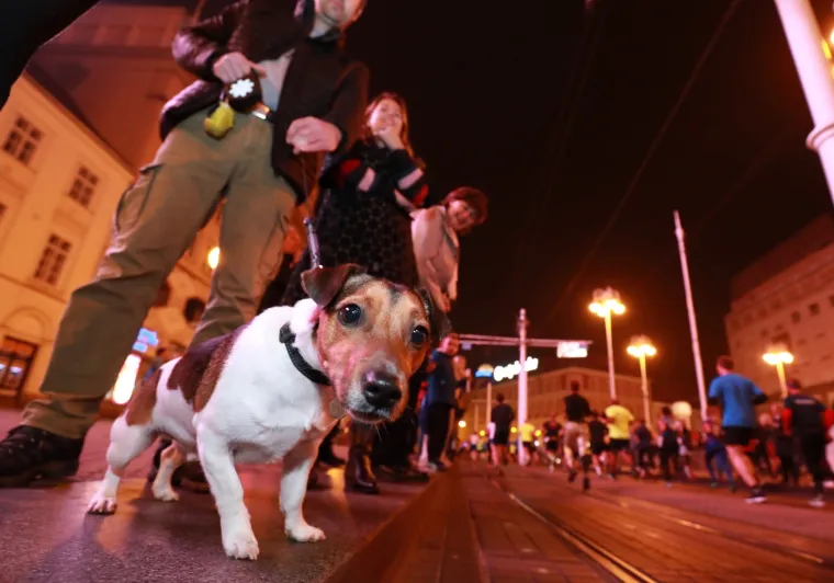 Na Zagrebačkom noćnom ceneru 2700 trkača: Prijave su planule u rekordnih 90 minuta