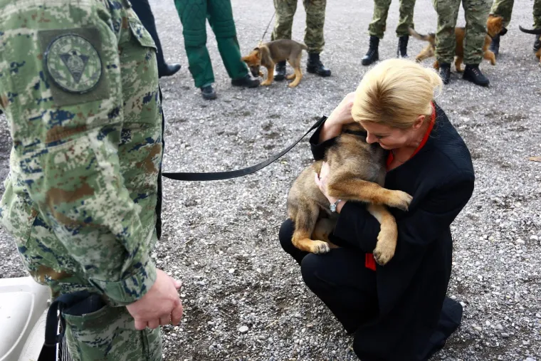 Predsjednica obi&scaron;la vježbu vojnih pasa povodom obljetnice Tigrova