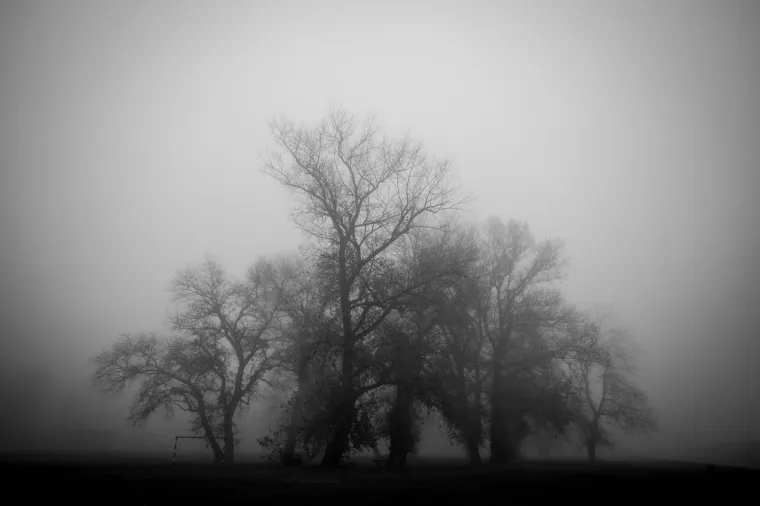 Photo: Davor Puklavec/PIXSELL