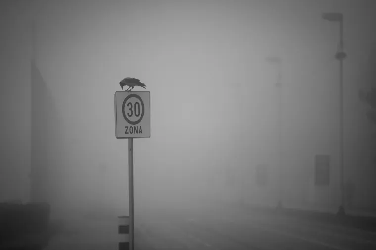 Photo: Davor Puklavec/PIXSELL