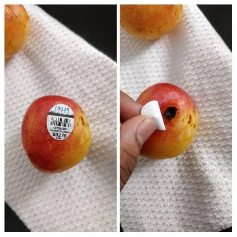 SVI ZNAMO JEDNOG OVAKVOG: Ljudi koji pokazuju svo značenje riječi se*ronja uhvaćeni na djelu