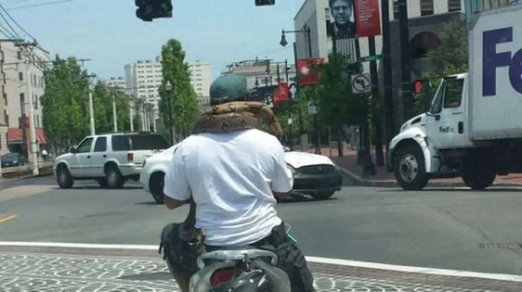 TOTALNO BIZARNO: Dobro je da su ovi ljudi živi, pa gdje im je pamet bila napraviti ovako ne&scaron;to?