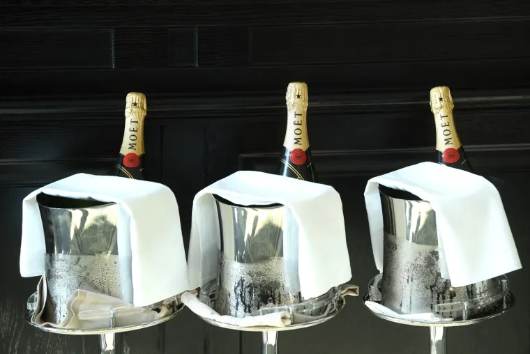 [FOTO] U ZAGREBU OTVOREN LUKSUZNI HILTONOV HOTEL 'CANOPY': Vrijedan je osam milijuna eura i 'epski' uređen