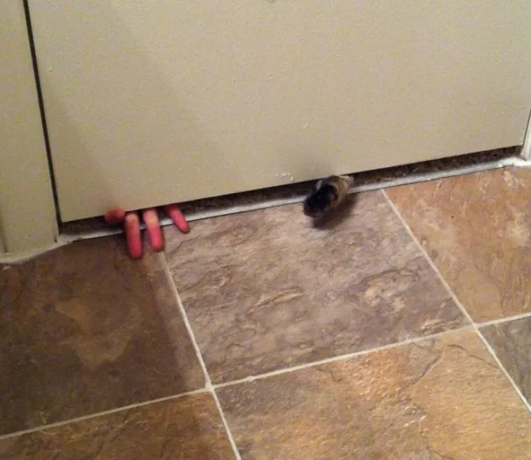 Na&scaron;alili se sa svojim partnericama: s ovim frajerima nikad nije dosadno