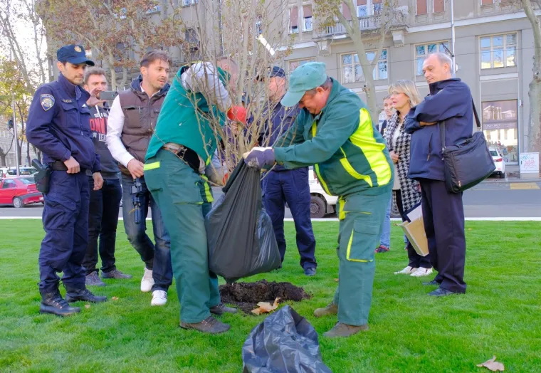 Ispred Me&scaron;trovićevog paviljona, Živi zid je organizirao akciju sađenja magnolija kako bi iskazali svoje neslaganje s politikom gradonačelnika Milana Bandića, koji je prije nekoliko tjedana otvorio novouređeni Trg žrtava fa&scaron;izma s umjetnom travom.