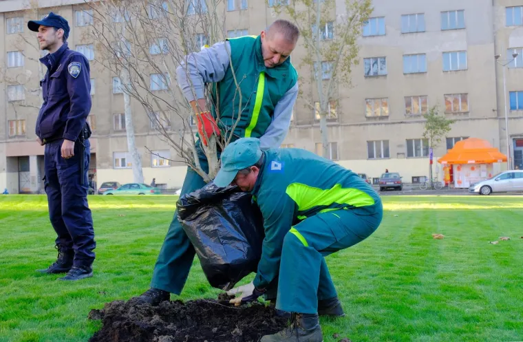 Ispred Me&scaron;trovićevog paviljona, Živi zid je organizirao akciju sađenja magnolija kako bi iskazali svoje neslaganje s politikom gradonačelnika Milana Bandića, koji je prije nekoliko tjedana otvorio novouređeni Trg žrtava fa&scaron;izma s umjetnom travom.