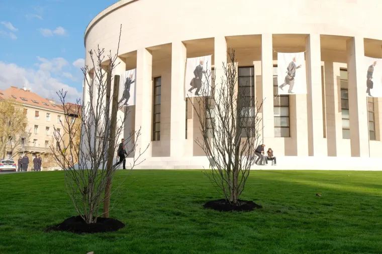 Ispred Me&scaron;trovićevog paviljona, Živi zid je organizirao akciju sađenja magnolija kako bi iskazali svoje neslaganje s politikom gradonačelnika Milana Bandića, koji je prije nekoliko tjedana otvorio novouređeni Trg žrtava fa&scaron;izma s umjetnom travom.