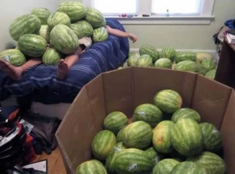 DOKAZ DA ČUDACI VLADAJU INTERNETOM: Nema tog alkohola koji bi mogao opravdati ovakve prizore