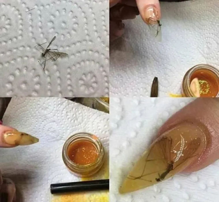 DOKAZ DA ČUDACI VLADAJU INTERNETOM: Nema tog alkohola koji bi mogao opravdati ovakve prizore