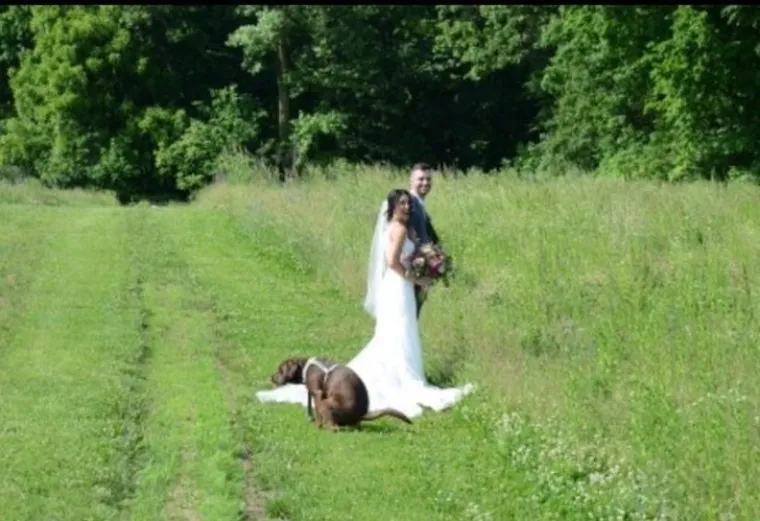 Humoristične životne situacije u kojima je ne&scaron;to opasno po&scaron;lo po krivu