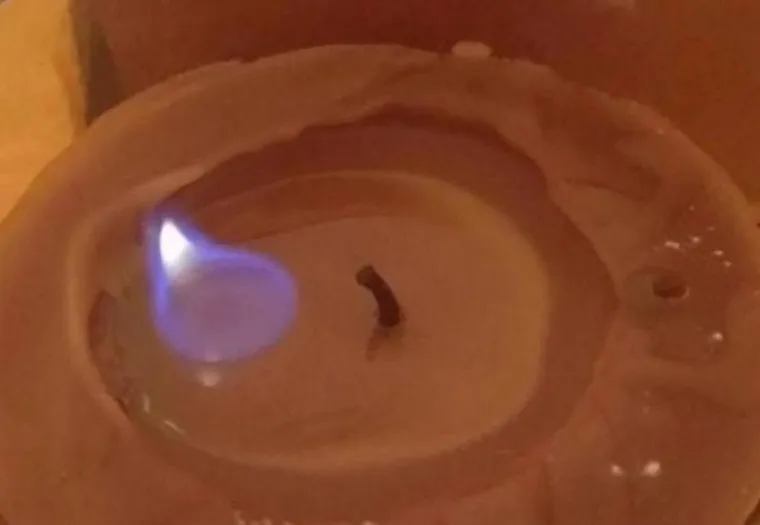 Humoristične životne situacije u kojima je ne&scaron;to opasno po&scaron;lo po krivu