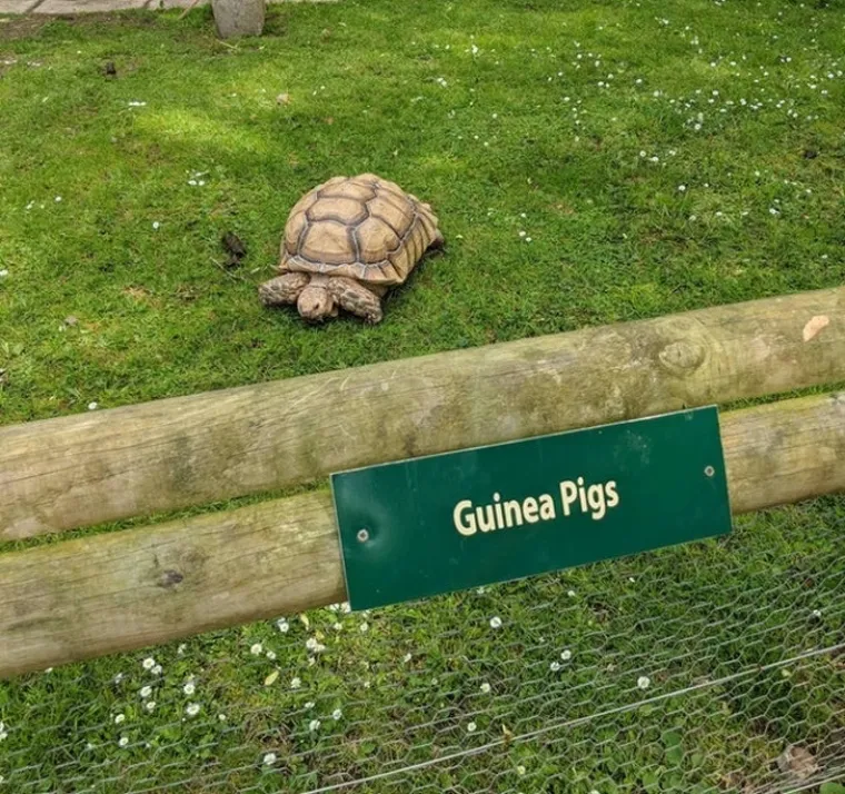 Humoristične životne situacije u kojima je ne&scaron;to opasno po&scaron;lo po krivu