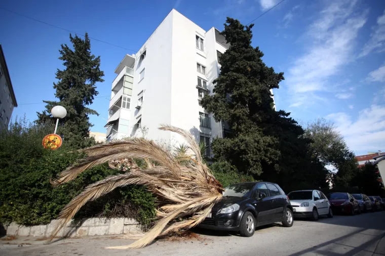 Tijekom noći i ranim jutarnjim satima u Lučićevoj ulici u Splitu sru&scaron;ila se palma i pala na parkirano vozilo. Sumnja se na bolest stabala koja je zaprijetila &scaron;umi Marjan gdje također padaju bolesna stabla.