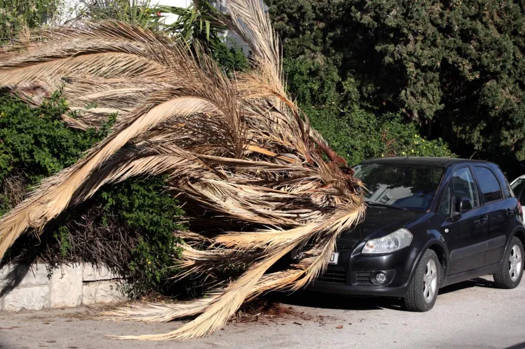 Tijekom noći i ranim jutarnjim satima u Lučićevoj ulici u Splitu sru&scaron;ila se palma i pala na parkirano vozilo. Sumnja se na bolest stabala koja je zaprijetila &scaron;umi Marjan gdje također padaju bolesna stabla.
