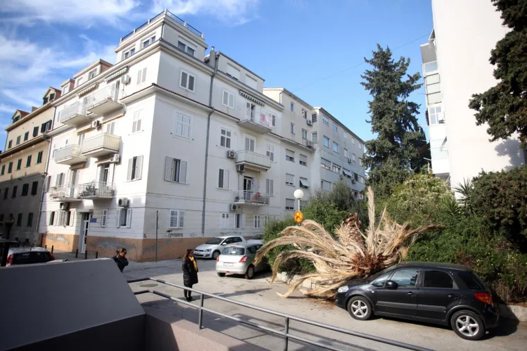 Tijekom noći i ranim jutarnjim satima u Lučićevoj ulici u Splitu sru&scaron;ila se palma i pala na parkirano vozilo. Sumnja se na bolest stabala koja je zaprijetila &scaron;umi Marjan gdje također padaju bolesna stabla.