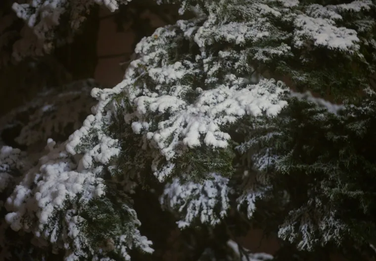 PRVI OVOGODI&Scaron;NJI SNIJEG ZABIJELIO JE SLJEME: Pogledajte bajkovite prizore na Medvednici