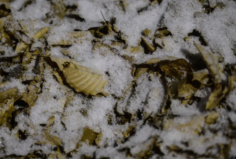 PRVI OVOGODI&Scaron;NJI SNIJEG ZABIJELIO JE SLJEME: Pogledajte bajkovite prizore na Medvednici