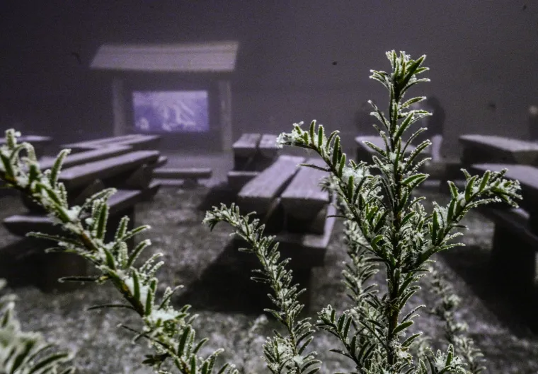 PRVI OVOGODI&Scaron;NJI SNIJEG ZABIJELIO JE SLJEME: Pogledajte bajkovite prizore na Medvednici