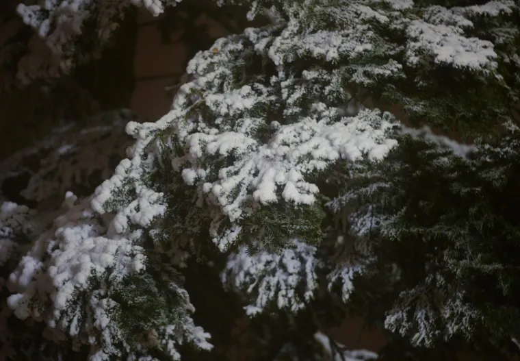Prvi ovogodi&scaron;nji snijeg zabijelio je Sljeme
