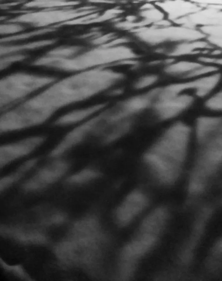 Dolove i brijeg, zabjelio je snijeg... Zabijelile su se i dru&scaron;tvene mreže, evo &scaron;to ste objavili