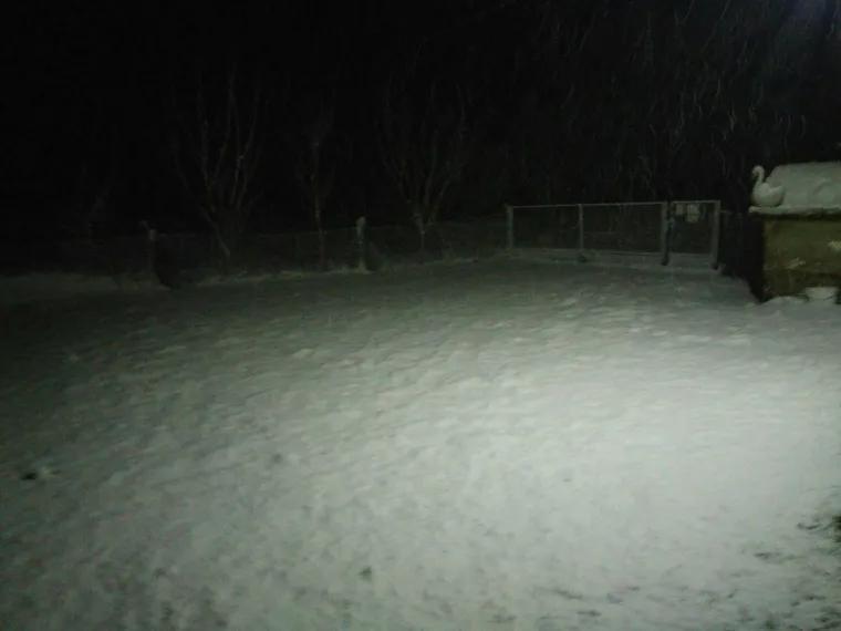 Dolove i brijeg, zabjelio je snijeg... Zabijelile su se i dru&scaron;tvene mreže, evo &scaron;to ste objavili