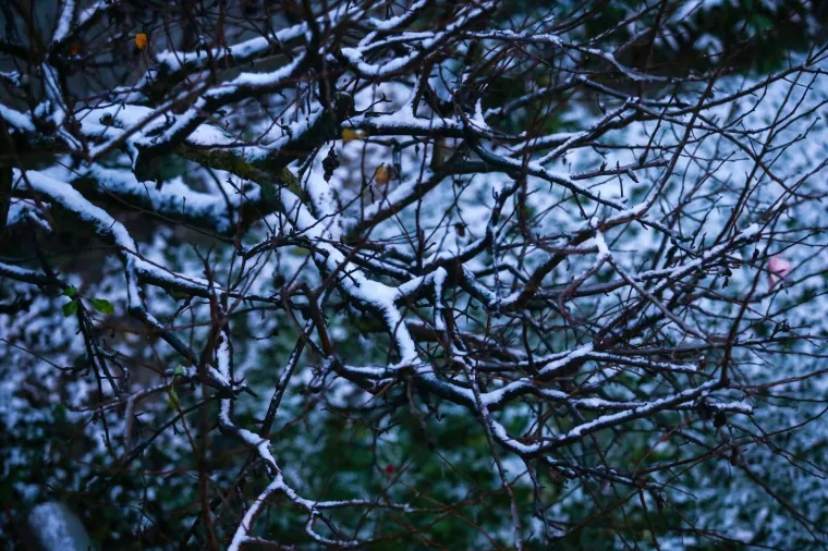 Snijeg zabijelio Hrvatsku: Zbog poledice i vjetra upaljen crveni alarm