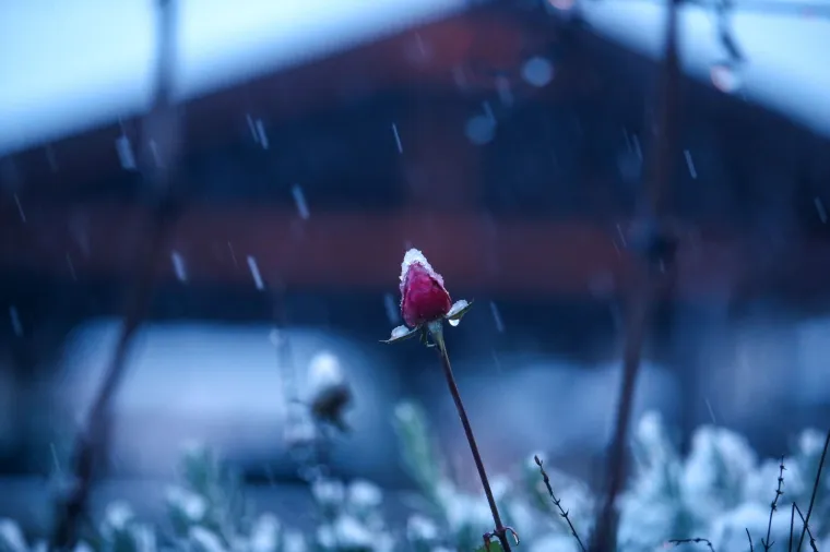 SNIJEG ZABIJELIO ZAGREB: Studeni napokon pokazao zube, u metropoli prava zimska idila