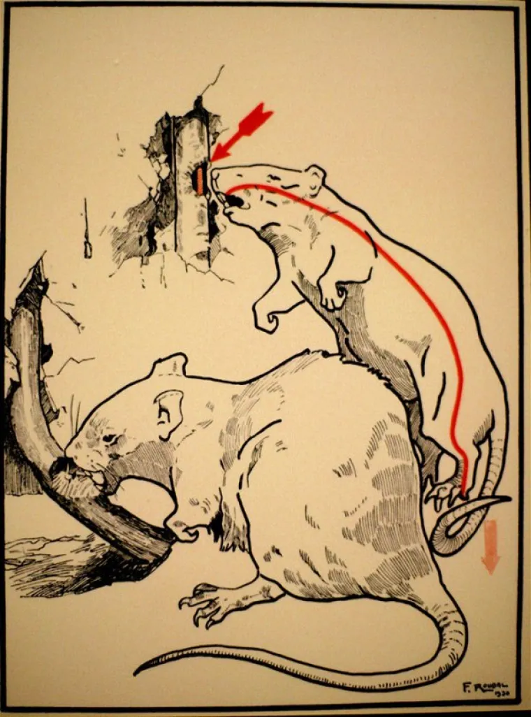 KAKO JE ITKO OD NA&Scaron;IH (PRA)DJEDOVA I BAKA PREŽIVIO?! Bizarni vodič otkriva koliko su prvi električni uređaji bili smrtonosni