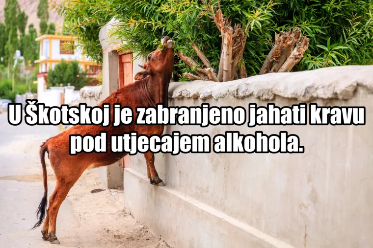 Ako mislite da je Hrvatska Apsurdistan, varate se! Donosimo vam 30 najbizarnijih zakona diljem svijeta