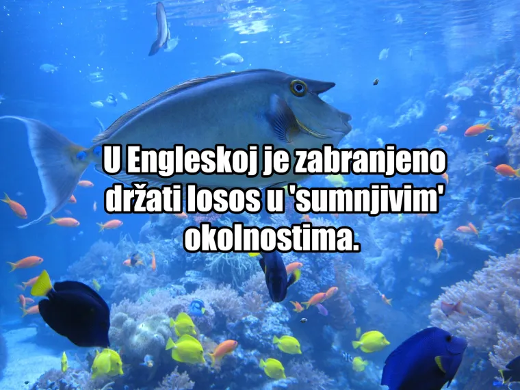 Ako mislite da je Hrvatska Apsurdistan, varate se! Donosimo vam 30 najbizarnijih zakona diljem svijeta