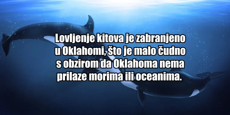 Ako mislite da je Hrvatska Apsurdistan, varate se! Donosimo vam 30 najbizarnijih zakona diljem svijeta