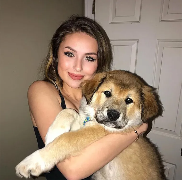 NJIHOVA PLEMENITOST NIJE JEDINA STVAR KOJA SVAKODNEVNO BUJA: Seksipilne veterinarke pokazale svoje adute