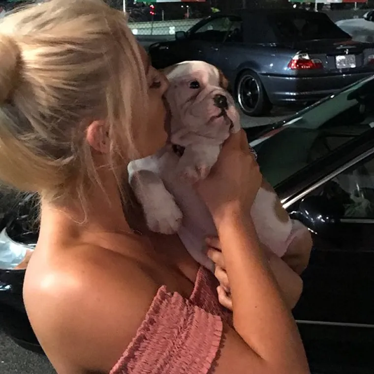 NJIHOVA PLEMENITOST NIJE JEDINA STVAR KOJA SVAKODNEVNO BUJA: Seksipilne veterinarke pokazale svoje adute