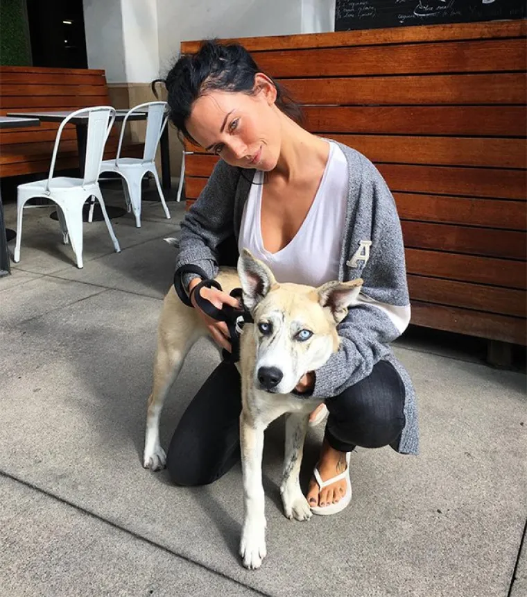 NJIHOVA PLEMENITOST NIJE JEDINA STVAR KOJA SVAKODNEVNO BUJA: Seksipilne veterinarke pokazale svoje adute