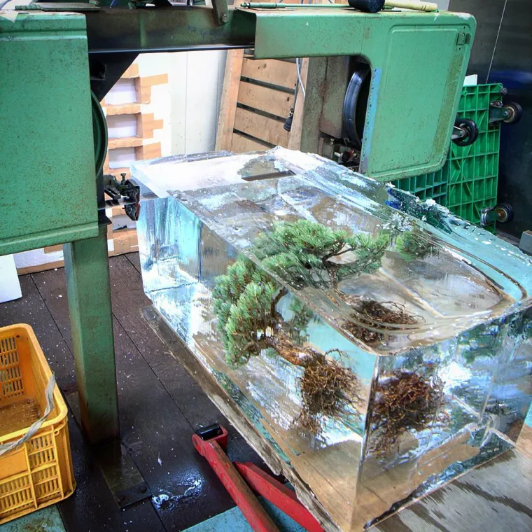 Azuma Makoto vrhunski je umjetnik koji svakodnevno radi s cvijećem