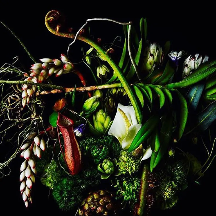 Azuma Makoto vrhunski je umjetnik koji svakodnevno radi s cvijećem