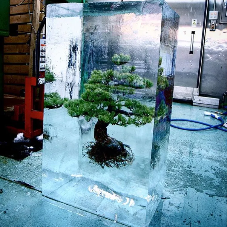 Azuma Makoto vrhunski je umjetnik koji svakodnevno radi s cvijećem