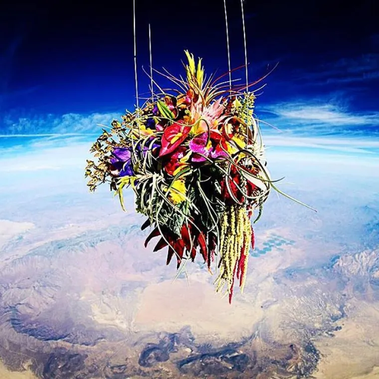 Azuma Makoto vrhunski je umjetnik koji svakodnevno radi s cvijećem