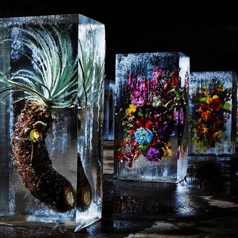 Azuma Makoto vrhunski je umjetnik koji svakodnevno radi s cvijećem