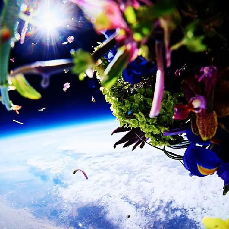 Azuma Makoto vrhunski je umjetnik koji svakodnevno radi s cvijećem