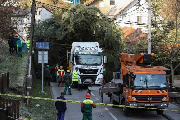 OVAJ ĆE 20-METARSKI BOR KRASITI GLAVNI ZAGREBAČKI TRG: Gradu ga je donirao velikodu&scaron;ni čovjek iz Kusto&scaron;ije