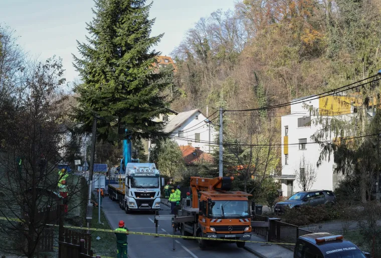 OVAJ ĆE 20-METARSKI BOR KRASITI GLAVNI ZAGREBAČKI TRG: Gradu ga je donirao velikodu&scaron;ni čovjek iz Kusto&scaron;ije