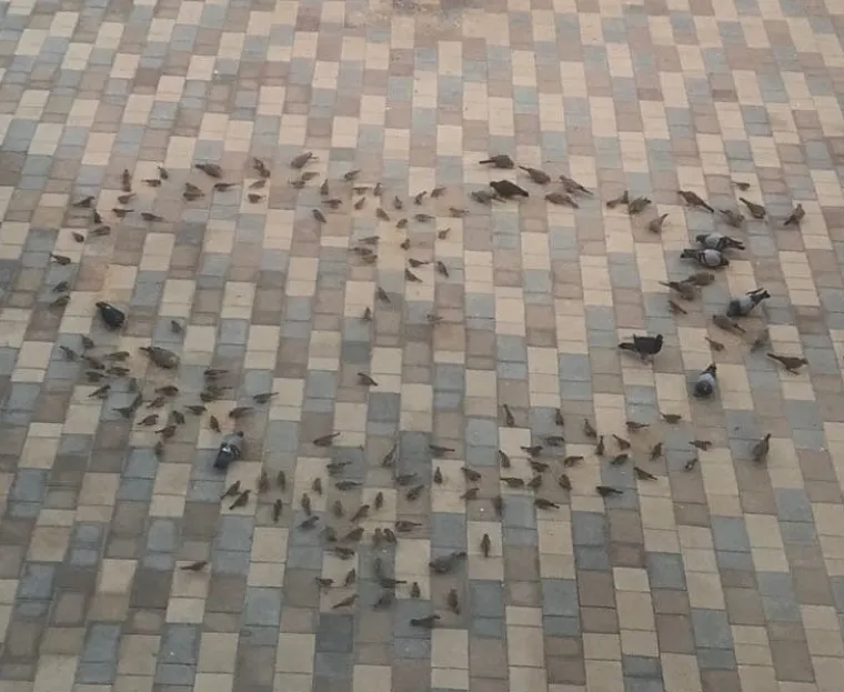 Smijeh je lijek, a ovi muževi su nasmijali svoje žene do suza - a i nas