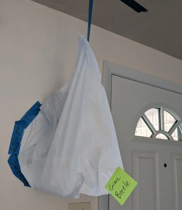 Smijeh je lijek, a ovi muževi su nasmijali svoje žene do suza - a i nas