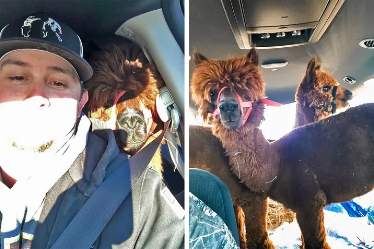 Smijeh je lijek, a ovi muževi su nasmijali svoje žene do suza - a i nas