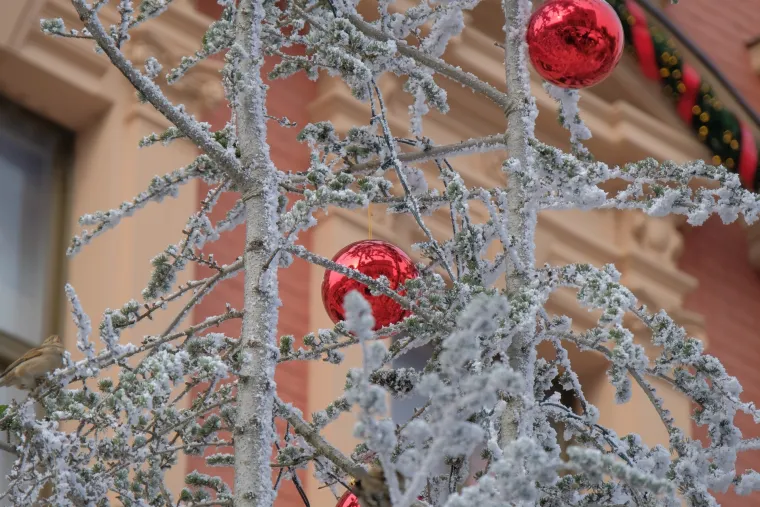 Gužve već prvi dan: Pogledajte &scaron;to ove godine možete vidjeti, jesti i piti na zagrebačkom Adventu