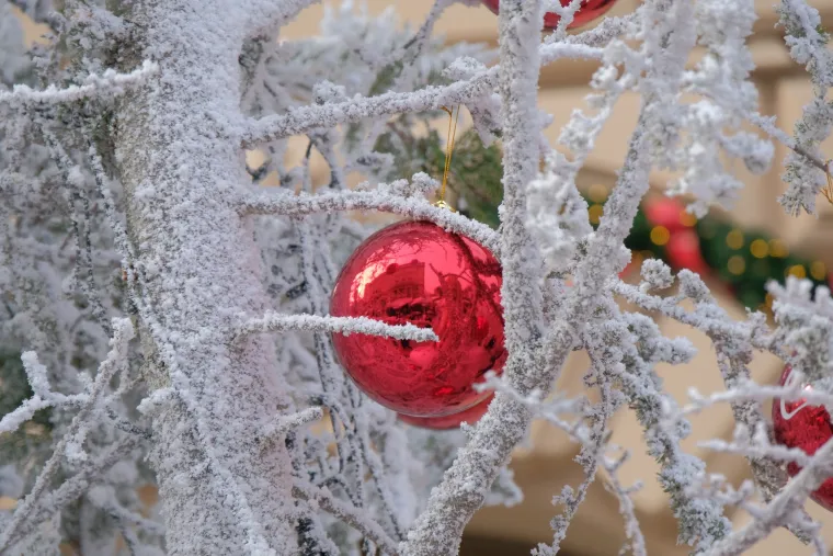 Gužve već prvi dan: Pogledajte &scaron;to ove godine možete vidjeti, jesti i piti na zagrebačkom Adventu