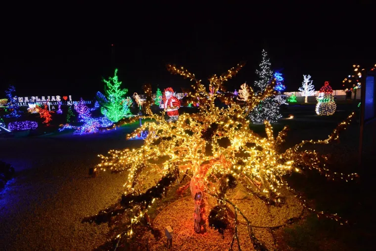 OBITELJ SALAJ OVE GODINE NADMA&Scaron;ILA SAMU SEBE: Božićna priča zabljesnula s rekordnih 4 milijuna lampica