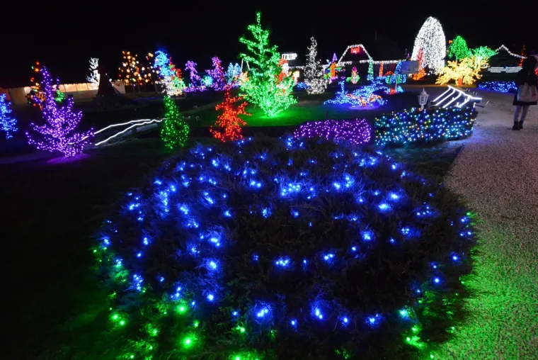 OBITELJ SALAJ OVE GODINE NADMA&Scaron;ILA SAMU SEBE: Božićna priča zabljesnula s rekordnih 4 milijuna lampica