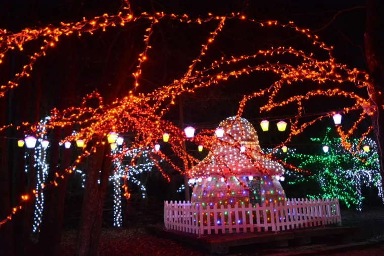 OBITELJ SALAJ OVE GODINE NADMA&Scaron;ILA SAMU SEBE: Božićna priča zabljesnula s rekordnih 4 milijuna lampica